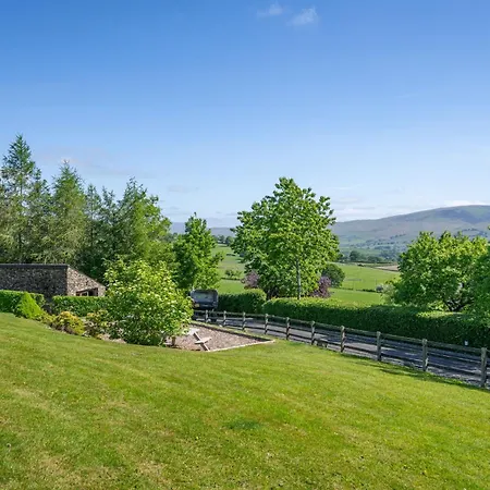 Stoney Calf - Gorgeous On A Working Farm *