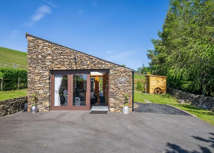 Stoney Calf - Gorgeous On A Working Farm *