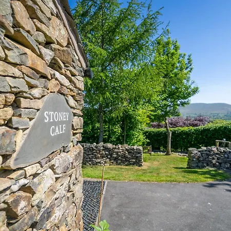 Stoney Calf - Gorgeous On A Working Farm