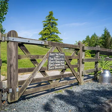 Stoney Calf - Gorgeous On A Working Farm *